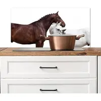 KitchenYeah Spatscherm keuken 80x40 cm - Kookplaat achterwand Paard - Modern - Balans - Muurbeschermer - Spatwand fornuis - Hoogwaardig aluminium