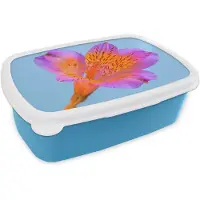 MuchoWow Broodtrommel Blauw - Lunchbox Bloem - Detail - Kleurrijk - Brooddoos 18x12x6 cm - Brood lunch box - Broodtrommels voor kinderen en volwassenen