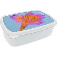 MuchoWow Broodtrommel Wit - Lunchbox Bloem - Detail - Kleurrijk - Brooddoos 18x12x6 cm - Brood lunch box - Broodtrommels voor kinderen en volwassenen