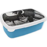 MuchoWow Broodtrommel Blauw - Lunchbox Paard - Sport - Zwart - Wit - Brooddoos 18x12x6 cm - Brood lunch box - Broodtrommels voor kinderen en volwassenen