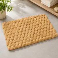 Polarbear Badmat – Douchemat – Vloerkleed – Badmat Antislip – Badmatten – Water Absorberend – Antislip – 50X80cm – Bruin