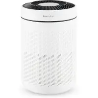 Bloomfold Luchtreiniger Whisper - Air Purifier - HEPA 13 filter + koolstoffilter - CADR: 250m3/h - Fluisterstil (25 dB) tegen Pollen,