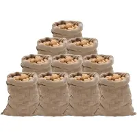vidaXL Jutezakken 10 stuks 220 g/m² 60x105 cm 100% jute