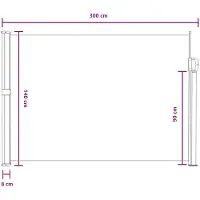 vidaXL - Uittrekbaar - Zijscherm - Grijs - 300 - x - 140 - cm - Polyester