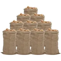 vidaXL Jutezakken 10 stuks 65x135 cm 100% jute 340 g/m²