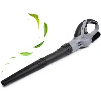 QLT Accu Bladblazer met Lader – Lichtgewicht en Krachtig Tuingereedschap voor Bladeren, Stof en Grasresten – 12V