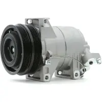 RIDEX 447K0121 Aircopomp