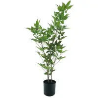 Nova Nature Aralia tree in pot cream/green 100cm |