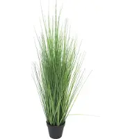 Nova Nature King festuca green in pot 86cm