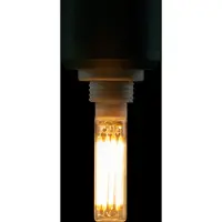 Segula G9 LED capsule | Filament | 2700K | Dimbaar | 2.5W (21W)