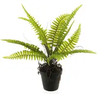 Nova Nature Boston fern in pot green 40cm