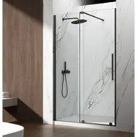 Hak Spirit Black Douchedeur 120cm, helder glas
