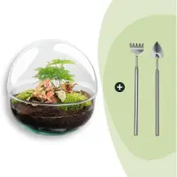 Urbanjngl Terrarium - Dome Red - ↑ 20 cm - Ecosysteem plant - Kamerplanten - DIY planten terrarium - Mini ecosysteem + Hark + Schep