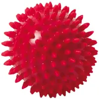 Togu Massagebal met stekels | Maat 9 cm
