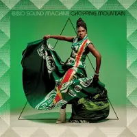 Konkurrent Ibibio Sound Machine - Chopping Mountain (CD)