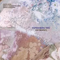 Konkurrent Espen Berg Trio - Entropies (LP)