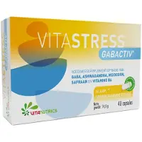 Vitanutrics Vitastress Gabactiv Capsules