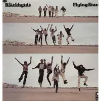 ACE Blackbyrds - Flying Start (LP)