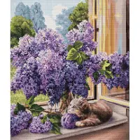Luca S The Dreamer borduren (pakket) BU5015