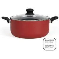 Livoo 28 cm Dutch oven - LIVOO - MEP151R - Antiaanbaklaag zonder PFOA of PFOS - Siliconen handgrepen -...