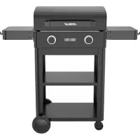 Valberg Elektrische Barbecue Op Voet Elec-val-bbq5233