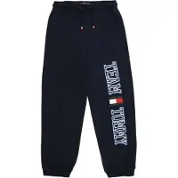 Tommy Hilfiger Broek 'TEAM' navy / hemelsblauw / rood / wit