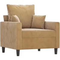 vidaXL Fauteuil 60 cm fluweel bruin