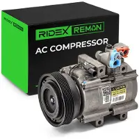 RIDEX 447K0051R Aircopomp