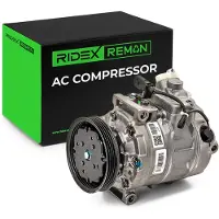 RIDEX 447K0750R Aircopomp
