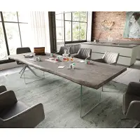 DELIFE Eettafel Edge 260x100 XL acacia platina glas Live-Edge