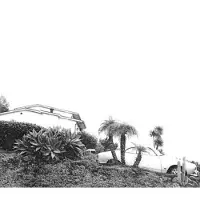 Konkurrent Timber Timbre - Hot Dreams (CD)