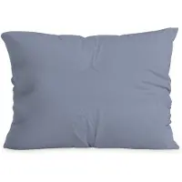 Zelesta Comfort Duo Kussensloop - Ijsblauw 80x80cm