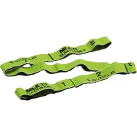 SVELTUS Multi Elastiband 10 kg 110 cm groen + poster