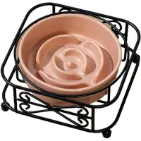 Melitt Slow Feeder Kattenvoerbak Verhoogde Keramische Kattenvoerbak Verhoogde Kattenvoerbak met Standaard Slow Feeder voor Nat en Droog Voer