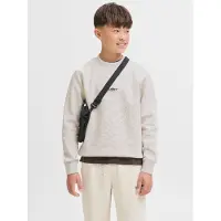 Jack & Jones Junior Sweatshirt 'JJESOHO' lichtgrijs / zwart