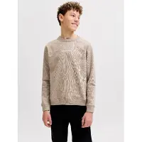Jack & jones Junior Sweatshirt 'Norrebro' taupe