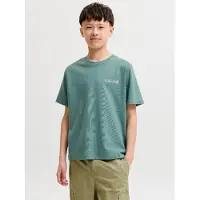 Jack & jones Junior Shirt 'JCOETERNA' smaragd / jade groen / wit