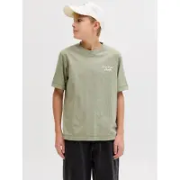 Jack & Jones Junior Shirt 'JORNorrebro' riet / wit