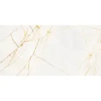 Flaviker Tegel 60 x 120 cm - Golden Spider - Keramiek - Rechthoekig - 2 stuks - 1,44 m2 - Marmerlook - Vloertegels - Wandtegels - Tegels - 0017238