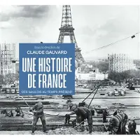 Puf UNE HISTOIRE DE FRANCE DES GAULOIS AU TEMPS PRESENT