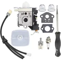 Torribaly PB250 Carburateur voor PB250LN PB-250 ES250 Leaf Blo