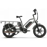 Jobobike Elektrische cargobike - - Transer - 250 W - Batterij 15 Ah - Snelheid 25 km/h - Grijs