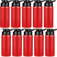 Melitt 10 Stuks Waterfles 600ml Herbruikbare Flessen Klikdeksel voor Sportschool Sport Kamperen Wandelen Rood