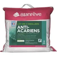 Blanreve Kussen Blanreve Wit 60 x 60 cm (2 Stuks)
