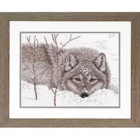 Dimensions Afmetingen Wolf in de sneeuw kruissteekpakket 14 stuks wit Aida-stof 14" x 14"