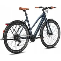 Fafrees Elektrisch voertuig - - F700M - 36V10Ah - 100 km actieradius - 250W achtermotor