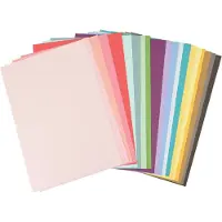 SIZZIX Accessoire kartonnen vellen - A4 - 80 stuks