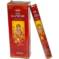 HEM Shree Ganesh Incense - 20 g -