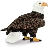 Safari Ltd. Bald Eagle-figuur - Realistisch 2,4" vogelfiguur - Educatief speelgoed voor jongens, meisjes en kinderen vanaf 3 jaar