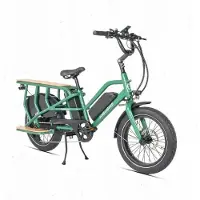 Jobobike Elektrische fiets - - Transer - 250 W - 48 V - 15 Ah - Max snelheid 25 km/h